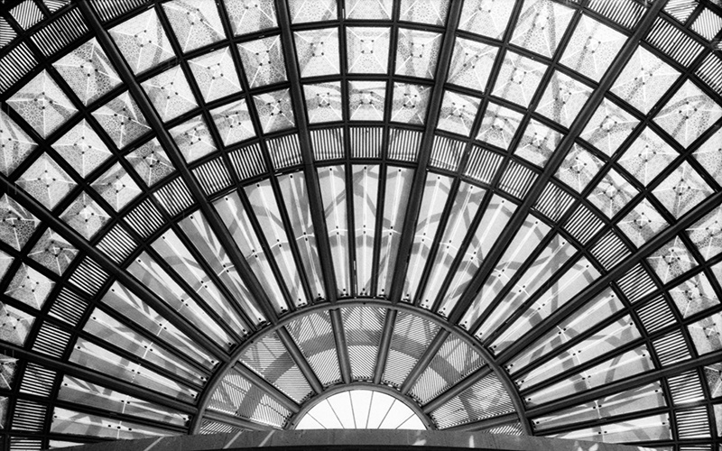 Taken on Fujifilm Neopan 1600 with a Minolta SRT-Super equipped with a 50mm f/1.4 lens...This photo was from a recent photographers' rights rally.