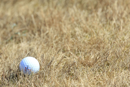 Van Lanschot Senior Open - Round Two