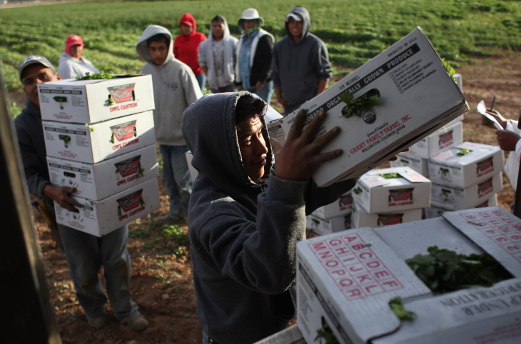 Colorado Farm Suffers As Immigrant Workforce Diminishes