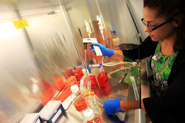 Scientists Continue Stem Cell Research While Courts Debate Ban