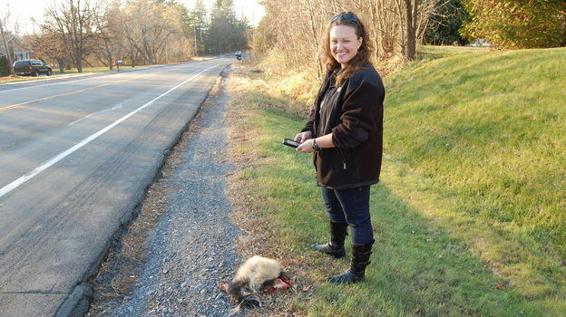 When wildlife ecologist Danielle Garneau finds road kill, she uploads data about it onto her smartphone.