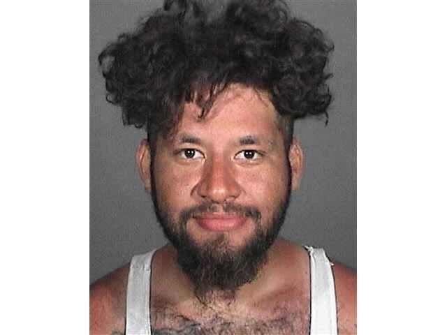 Sergio Alvarez was sentenced Friday after pleading no contest to strangling a pelican to death on the Malibu pier last month.