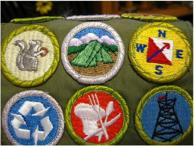 BOY SCOUTS BADGES
