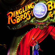Ringling Bros. and Barnum & Bailey circu