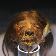 An Ecuadorian shrunken human head from t