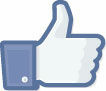 Facebook Like Button