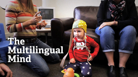 The Multilingual Mind