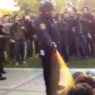 Occupy Protests Pepper Spray