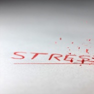 Forty-one percent of people in the United States are worried that they, or someone in their family, will be exposed to Ebola, according to the Pew Research Center.