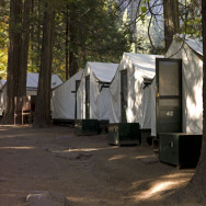 Yosemite Rodent Disease