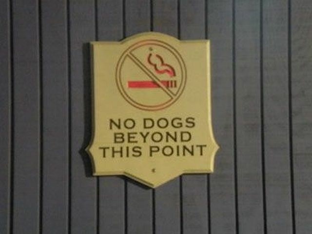 no smoking no dogs