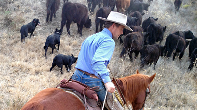 Ranchers