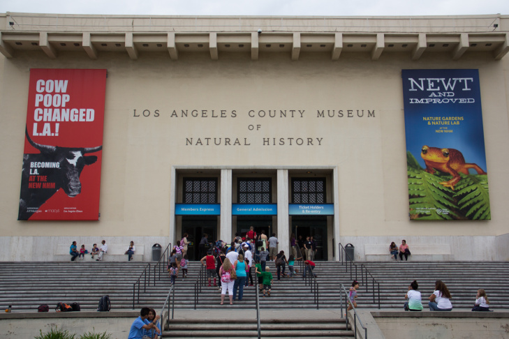 Becoming LA Exhibit