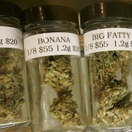 Medical Marijuana Club Seeks Site In Fisherman's Wharf