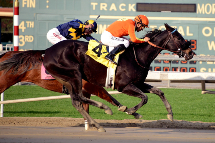Santa Anita Sunshine 2013