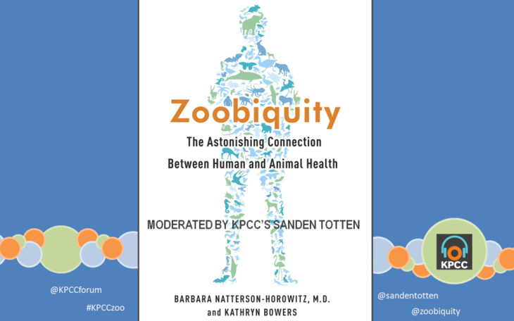 Zoobiquity