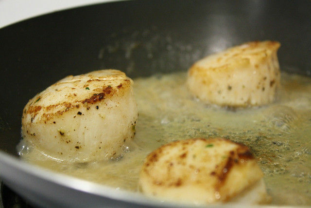 sea scallops