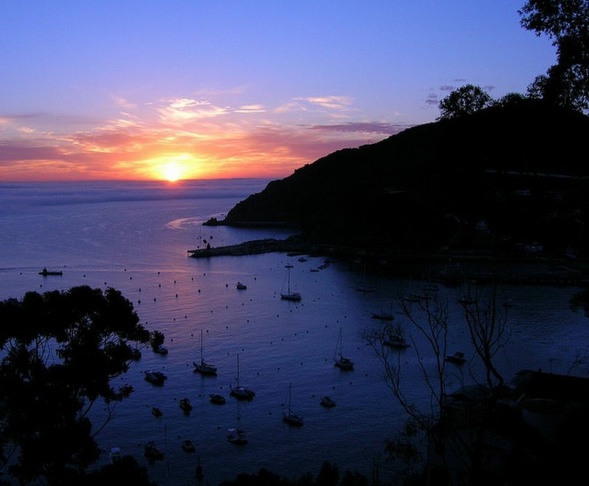 catalina