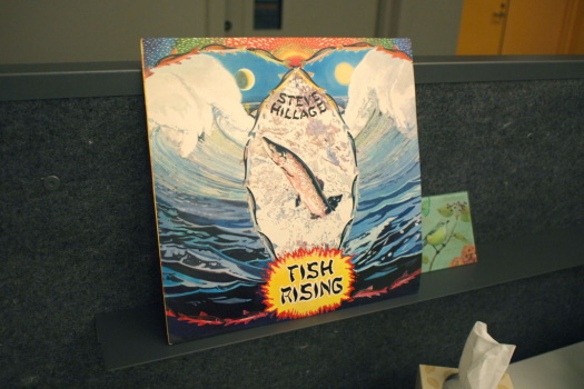 Fish Rising - Steve Hillage