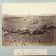 13-Timothy H. O'Sullivan, Gettysburg