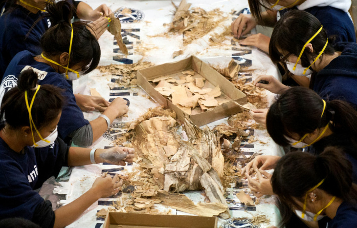 Rose Parade Float Prep - 10