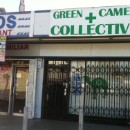 Green Camel Collective