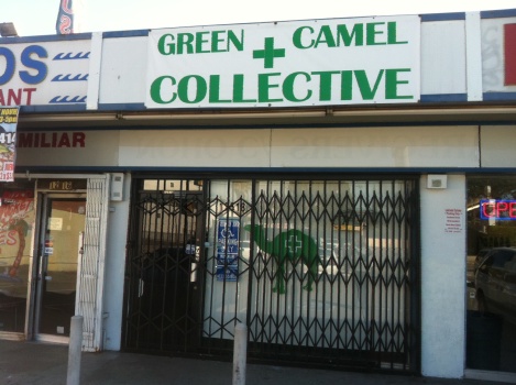 Green Camel Collective