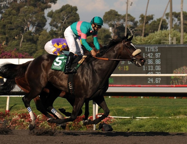 Zenyatta with jockey Mike Smith aboard,