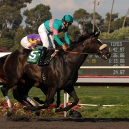 Zenyatta with jockey Mike Smith aboard,