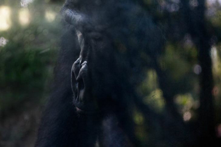 Zoobiquity - 1