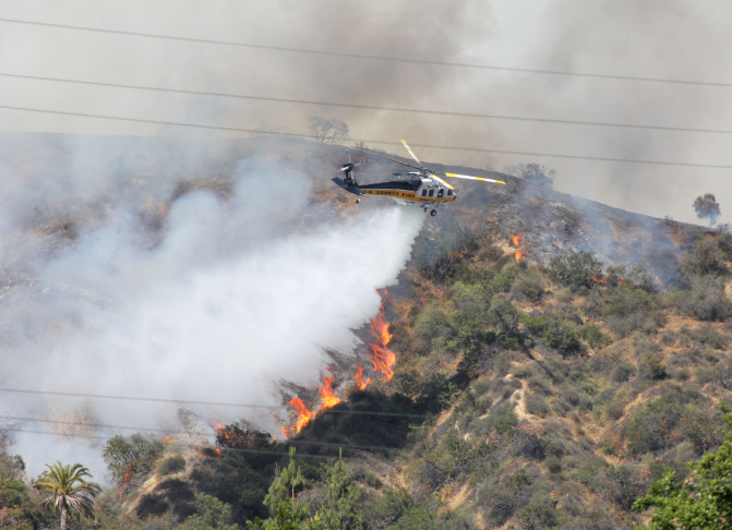 Brush Fire