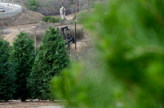 take two 174 christmas tree farms in orange county giving take two 174 christmas tree farms in orange county giving
