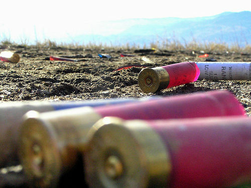 shotgun shells