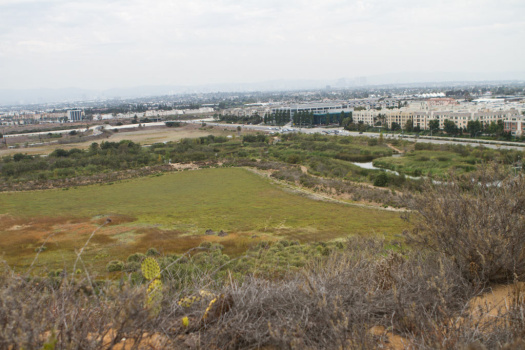 Ballona Wetlands