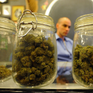 Medical Marijuana