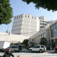 Mercer 16239