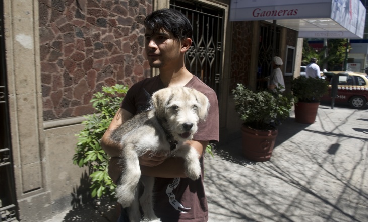 A young man holds his dog after leaving