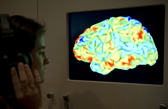 A woman looks at a functional magnetic r