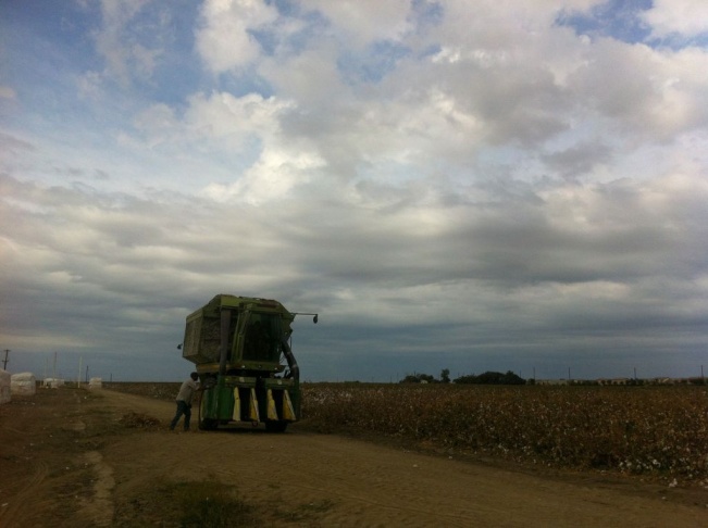 palla prop 37
