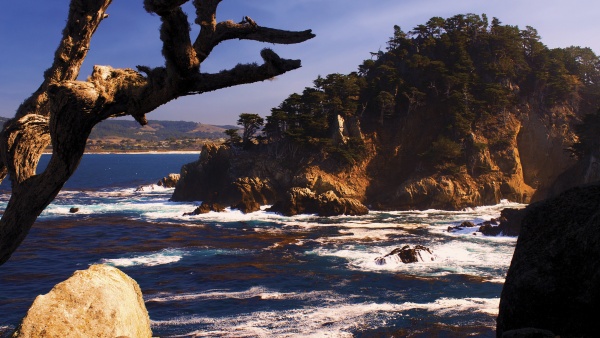 Point Lobos State Natural Preserve Frame from PBS documentary – California Forever.