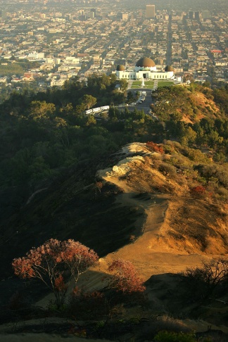Plans For Griffith Park Fire Recovery Sparks Controversy