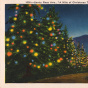 mile of christmas trees postcard