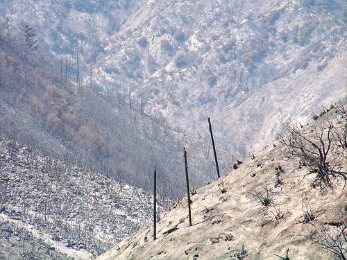 The Station Fire burned nearly 250 square miles. Now, the burned land must recover.