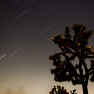 Joshua Tree Meteor Shower