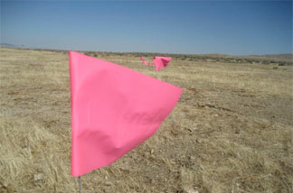 UCI seismologists mark research areas at an alluvial fan on the Carrizo Plain with flags. Their goal is to disturb the privately owned farmland as little as possible as they search for more of the San Andreas Fault's history.