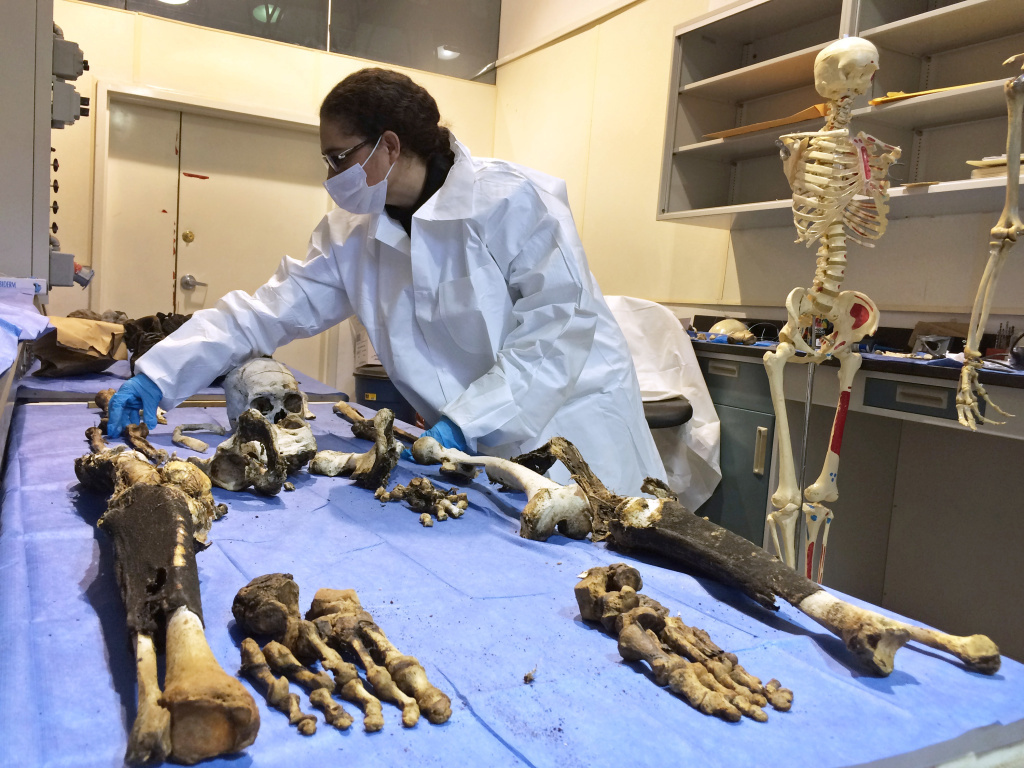 A technician examines human remains at a morgue in Chihuahua city, Mexico. A technician examines human remains at a morgue in Chihuahua city, Mexico.