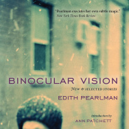 Binocular Vision book cover
