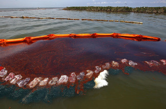 Heavy oil pools along the side of a boom just outside Cat Island in Barataria Bay June 6, 2010 near Grand Isle, Louisiana.