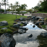 Lake Forest