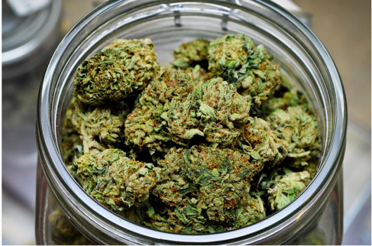 marijuana